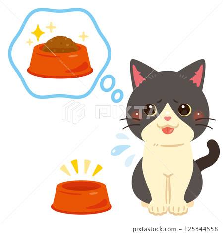 Hungry cat illustration Hungry cat illustration 125344558