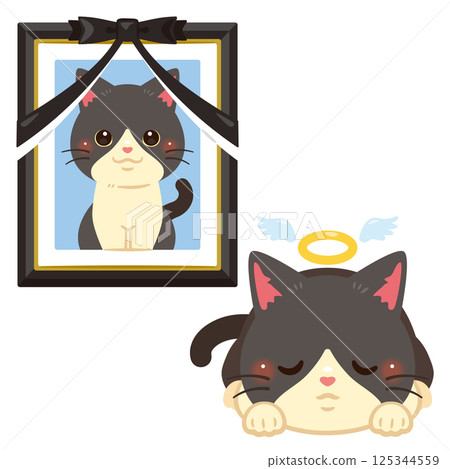 Illustration of a deceased cat and a memorial portrait 125344559