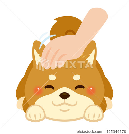 Illustration of a Shiba Inu being stroked on the head Illustration of a Shiba Inu being stroked on the head 125344578