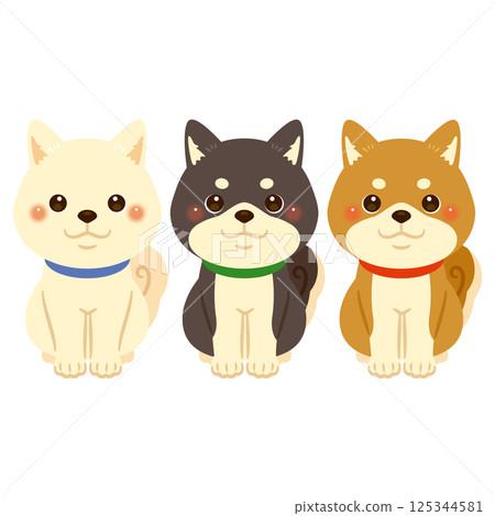 Shiba Inu different color illustration set 125344581