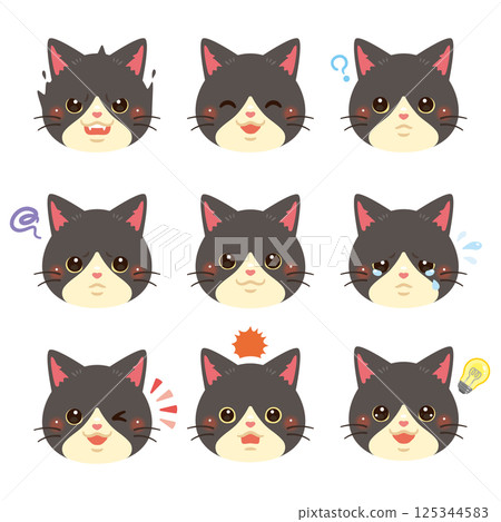Cat illustration set - facial expressions only Cat illustration set - facial expressions only 125344583