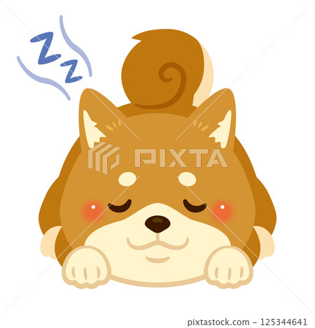 柴犬趴著睡覺的插圖 125344641