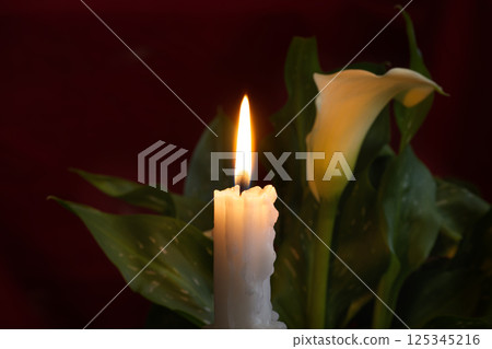 Lit Candle With Calla Lily Flower on Dark Red Background Lit Candle With Calla Lily Flower on Dark Red Background 125345216