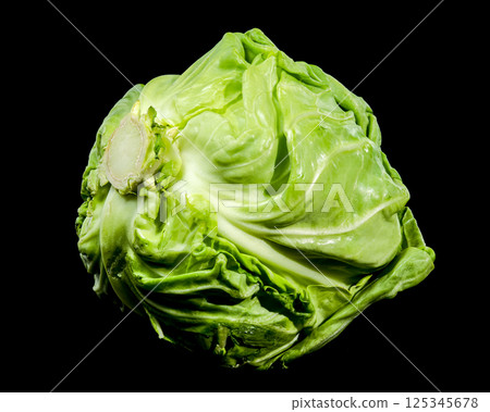 Fresh Green Cabbage on Black Background Fresh Green Cabbage on Black Background 125345678