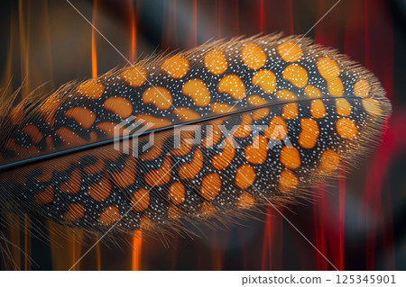 Close-up and abstract background of bird feathers with striking patterns 125345901