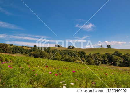 The blue sky of Maruka Plateau 125346002