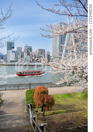 Cherry blossoms along the Sumida River and Chuo Ohashi Bridge in Tsukuda, Chuo Ward, Tokyo 125346050