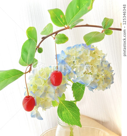 A fairytale-like flower arrangement of hydrangeas and silverleaf nuts 125346348