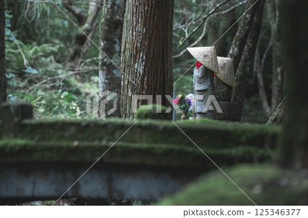 寂靜守護者：苔蘚森林的地藏菩薩 125346377