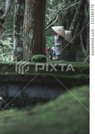 寂靜守護者：苔蘚森林的地藏菩薩 125346378