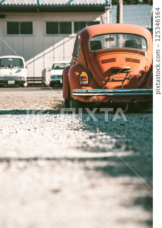 懷舊風景：甲蟲的歷史 125346564