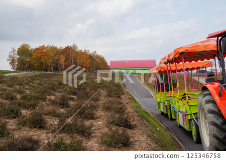 Colorful hill scenery in Hokkaido 125346758