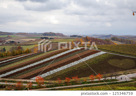 Colorful hill scenery in Hokkaido 125346759