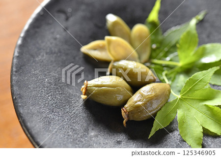 鹽漬銀藤 125346905