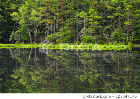 Trees and blue sky reflected on the river 125347170