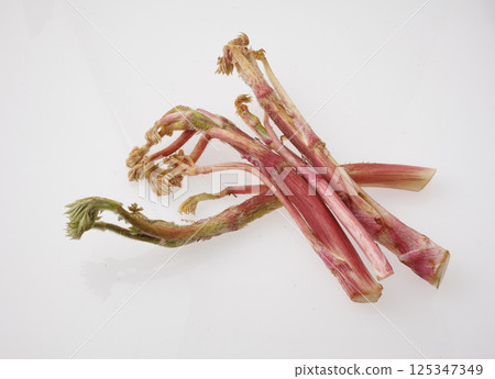 Image of mountain burdock 125347349