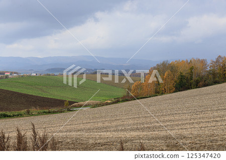Majestic hill scenery of the northern land 125347420