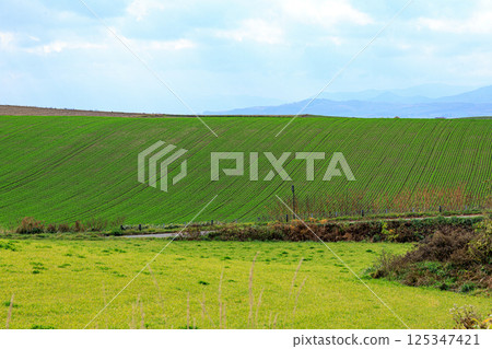 Majestic hill scenery of the northern land 125347421