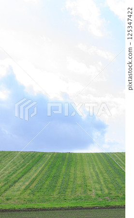 Majestic hill scenery of the northern land Majestic hill scenery of the northern land 125347422