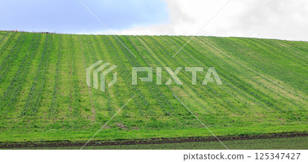 北國雄偉的丘陵風光 125347427