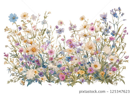 Colorful flower field illustration 125347623