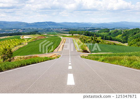 Scenery of a road in Biei, Hokkaido Scenery of a road in Biei, Hokkaido 125347671