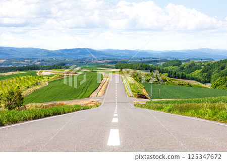 Scenery of a road in Biei, Hokkaido 125347672