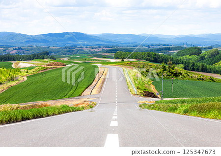 Scenery of a road in Biei, Hokkaido Scenery of a road in Biei, Hokkaido 125347673