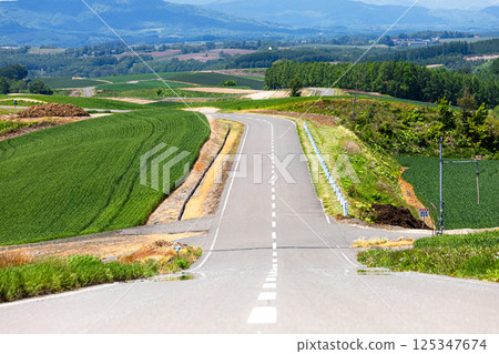 Scenery of a road in Biei, Hokkaido 125347674