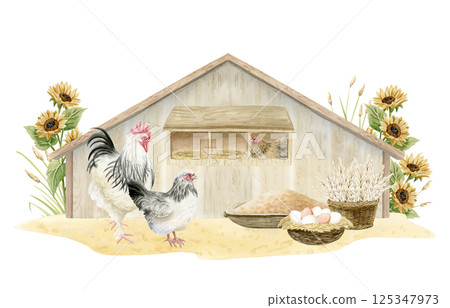 Watercolor chickens in wooden coop with eggs, wheat harvest in wicker basket and millet bird food isolated illustration. Village scene with sunflowers for poultry yard designs and organic goods 125347973