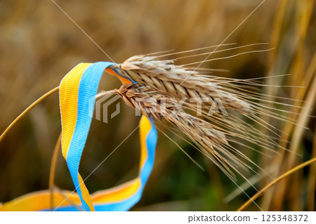 Golden wheat field with Ukrainian flag waving in the background. symbol of agriculture, national pride, resilience, and the fertile lands of Ukraine Golden wheat field with Ukrainian flag waving in the background. symbol of agriculture, national pride, resilience, and the fertile lands of Ukraine 125348372
