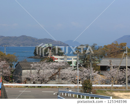 During the cherry blossom season, Tsushima Shrine, the guardian deity of children, floats on the sea in Mino Town, Mitoyo City, Kagawa Prefecture. During the cherry blossom season, Tsushima Shrine, the guardian deity of children, floats on the sea in Mino Town, Mitoyo City, Kagawa Prefecture. 125348596