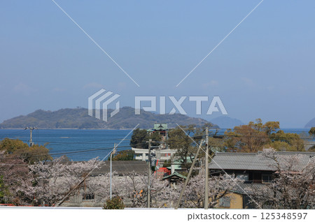 During the cherry blossom season, Tsushima Shrine, the guardian deity of children, floats on the sea in Mino Town, Mitoyo City, Kagawa Prefecture. 125348597