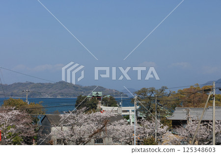 每逢櫻花季，孩子們的守護神津馬神社就會漂浮在香川縣三豐市美濃町的海上。 125348603
