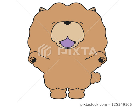 微笑歡呼的鬆獅犬 125349166