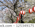 [Tokyo] Cherry Blossom Festival 125349175