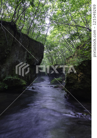 A tranquil forest stream flowing between lush mossy rocks 125349269