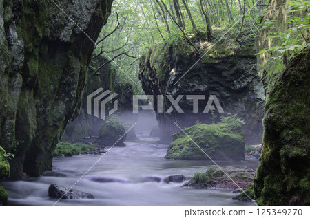 A tranquil forest stream flowing between lush mossy rocks 125349270