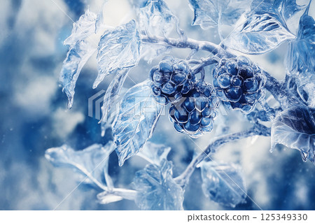 Frozen blue berries 125349330