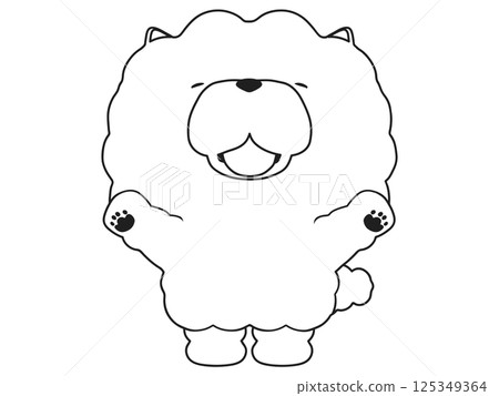 微笑歡呼的鬆獅犬 125349364