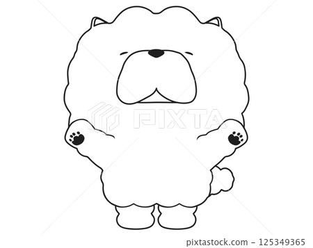 鬆獅犬歡呼 125349365