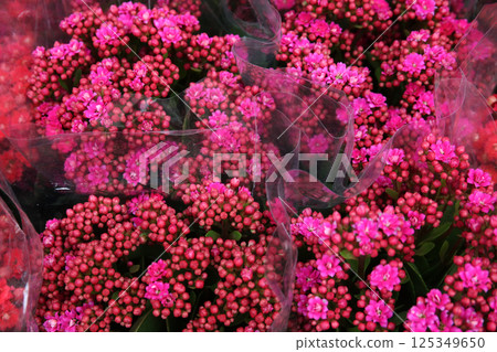Colorful flowers lined up at a flower shop Colorful flowers lined up at a flower shop 125349650