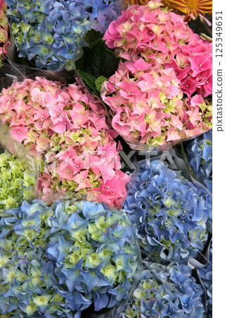 Colorful flowers lined up at a flower shop Colorful flowers lined up at a flower shop 125349651