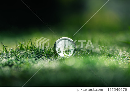 Globe on grass in the morning. Earth and environment concept. Background for sustainable environment. 125349676