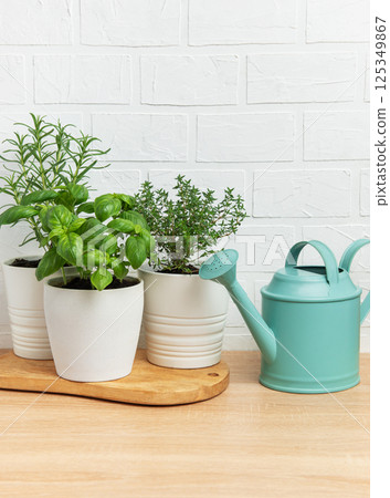 Fresh herbs growing in pots with watering can on wooden table Fresh herbs growing in pots with watering can on wooden table 125349867