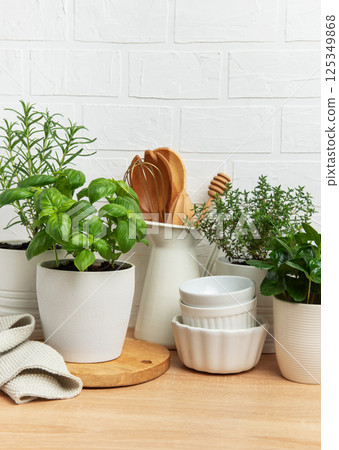 Fresh herbs growing in pots decorating modern kitchen countertop 125349868