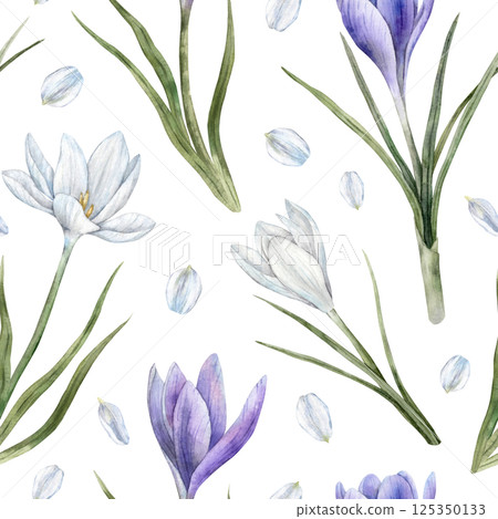 Purple and white crocuses with green leaves and white petals. Watercolor botanical seamless pattern, suitable for spring designs, wedding invitations, greeting cards, branding, packaging, textiles. Purple and white crocuses with green leaves and white petals. Watercolor botanical seamless pattern, suitable for spring designs, wedding invitations, greeting cards, branding, packaging, textiles. 125350133