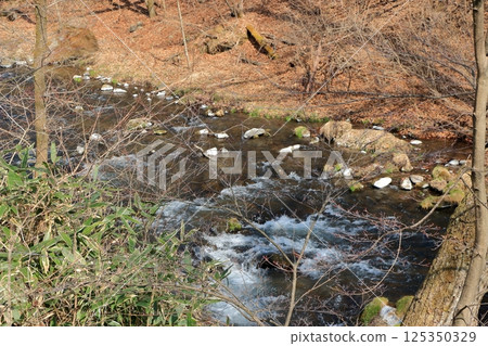The Yu River, Yu Kawa, in Karuizawa, Nagano prefecture Japan near the Hoshino Resort with rocks stained white from the hot springs The Yu River, Yu Kawa, in Karuizawa, Nagano prefecture Japan near the Hoshino Resort with rocks stained white from the hot springs 125350329