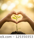 Hands forming a heart shape around a young plant, symbolizing love and care for nature, environmental awareness 125350353