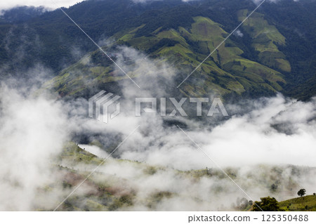 Landscape of Morning Mist with Mountain Layer. mountain ridge and clouds in rural jungle bush forest 125350488